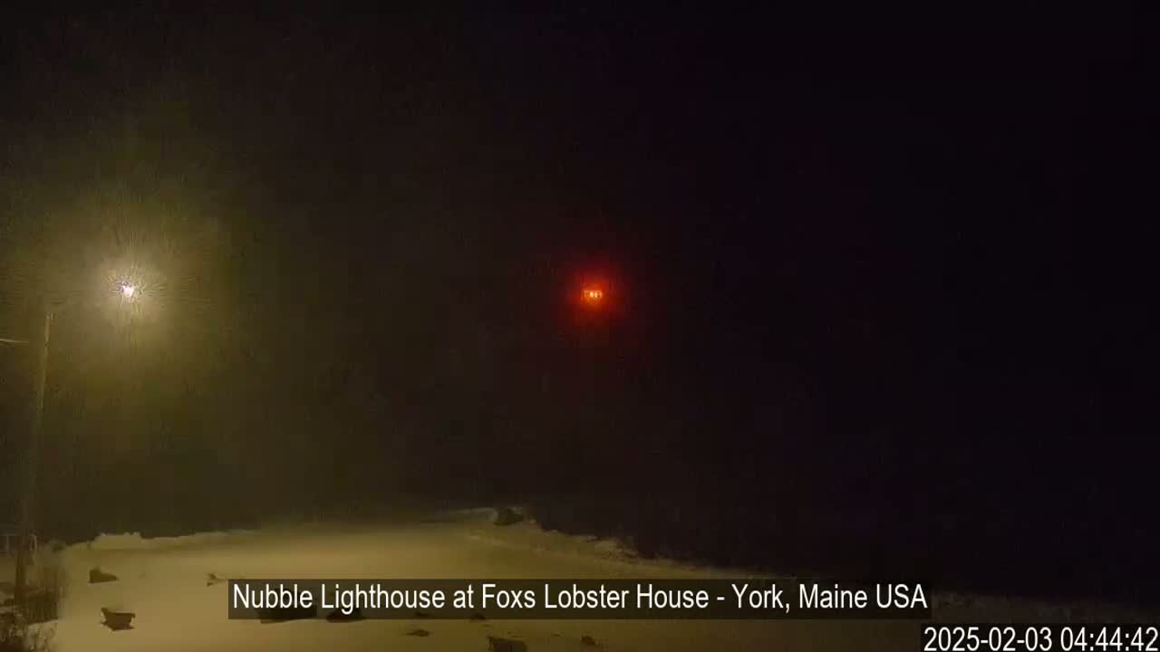 A distant red light, possibly a lighthouse, is visible through heavy snowfall at night, illuminated by a nearby streetlight.