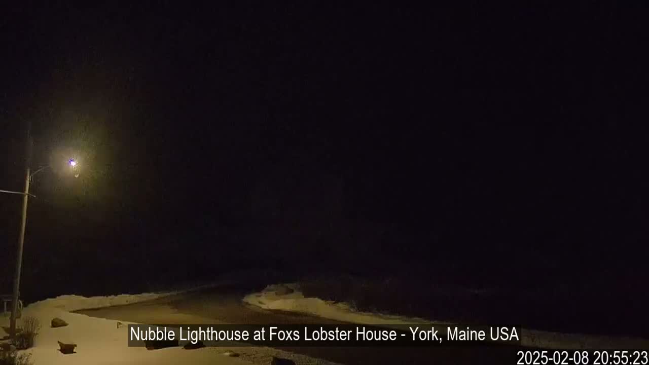A dark, snowy nighttime scene shows a lit streetlight and a partially visible body of water.