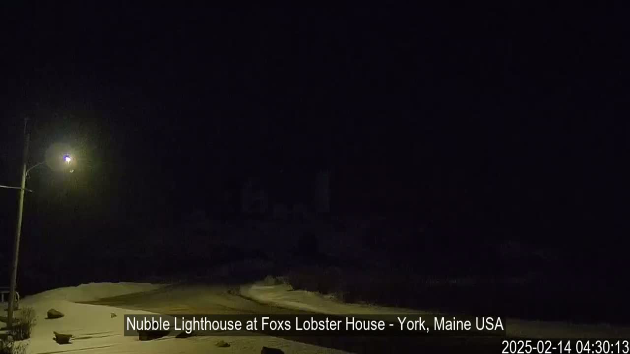 A nighttime, snowy scene shows a lit streetlight and a dark, indistinct landscape.