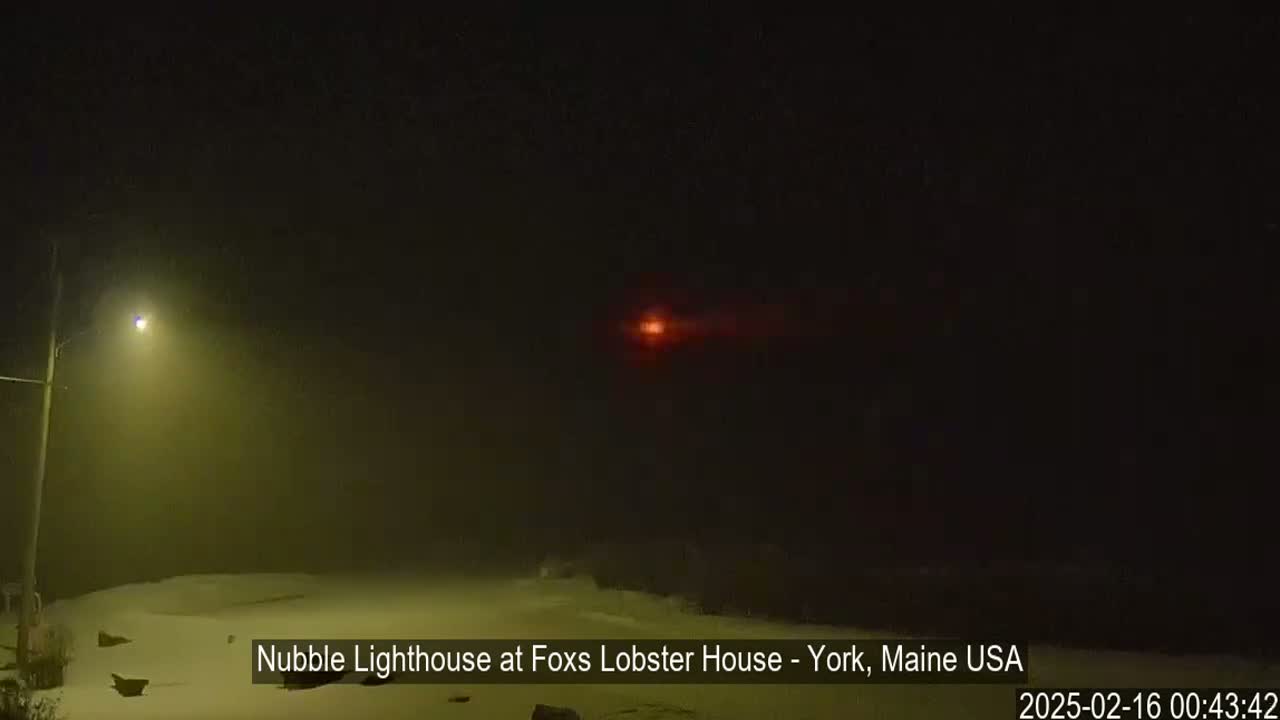 A snowy, foggy nighttime scene shows a distant red light and a lit streetlamp.