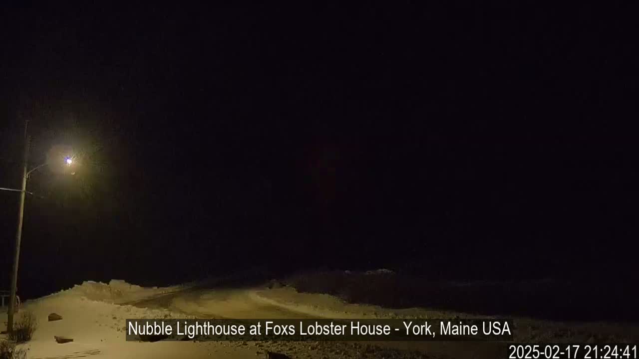 A snow-covered landscape is illuminated by a single streetlight at night.