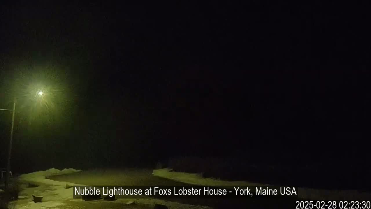 A nighttime scene of a snow-covered area illuminated by a single bright lamppost.