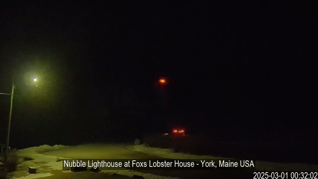 A nighttime scene of a snow-covered area with a lit streetlight and distant lights, possibly from vehicles or a building.