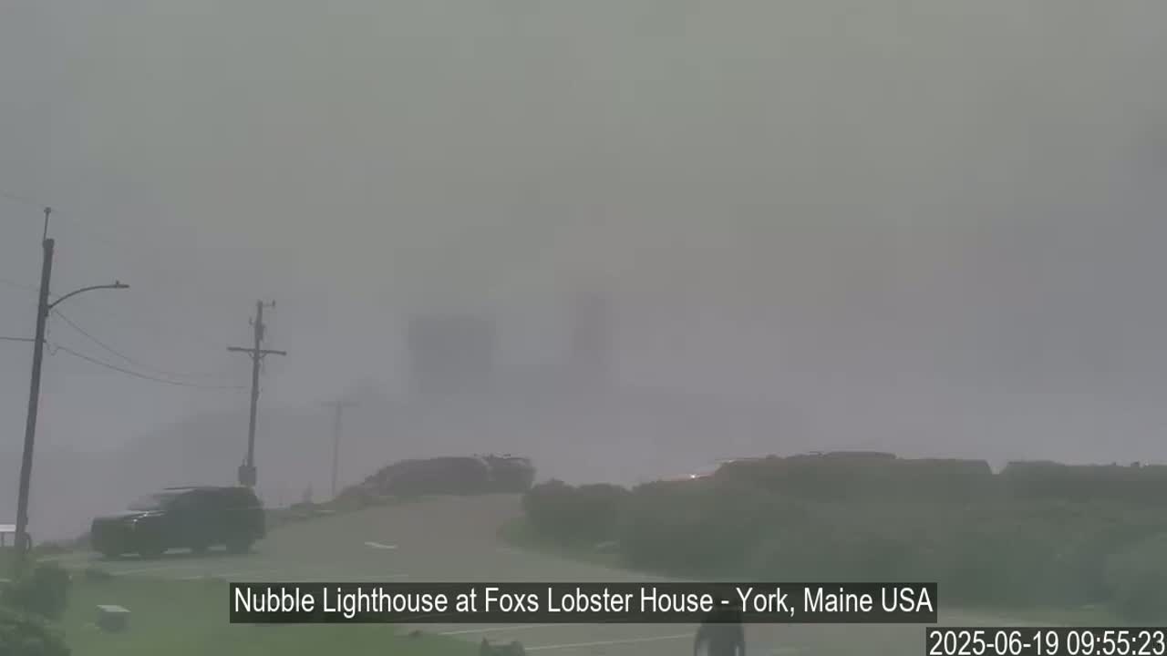 A foggy, outdoor scene shows a dark-colored SUV parked near utility poles and low-lying vegetation.