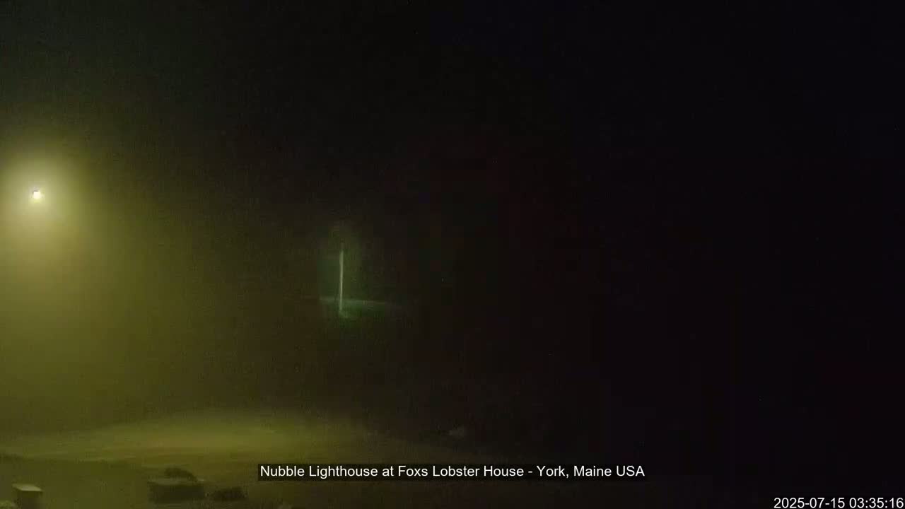 A dimly lit nighttime scene is shrouded in heavy fog, with a faint, distant light visible.