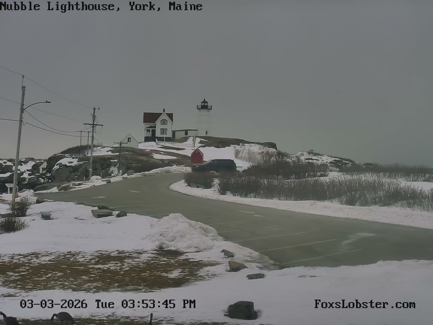 Nubble Lighthouse View Live Cam - York, Maine USA