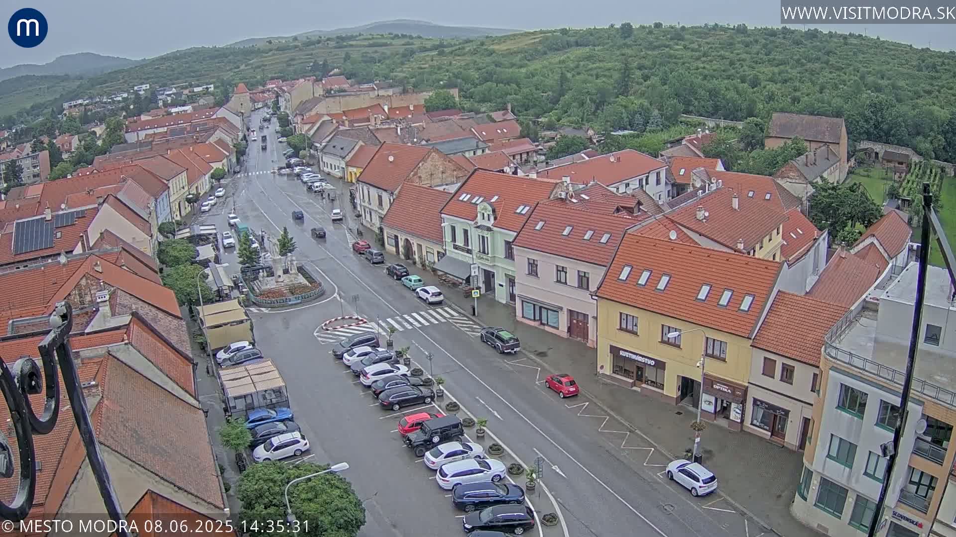 A wet town square and street scene with parked cars and buildings under an overcast sky.