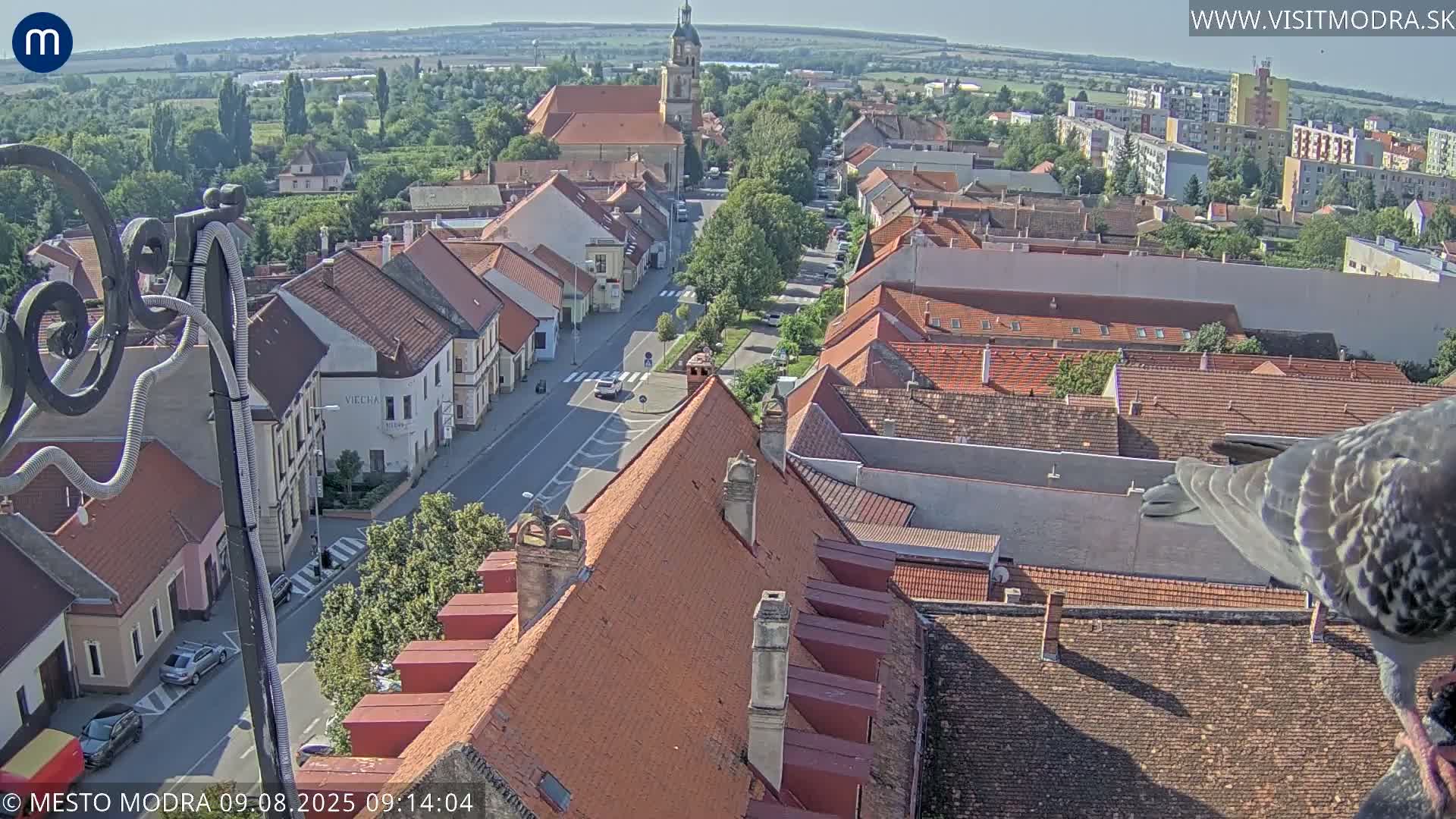 A high-angle, sunny view shows a European town with red-tiled roofs, a church steeple, and a bird perched on a building in the foreground.