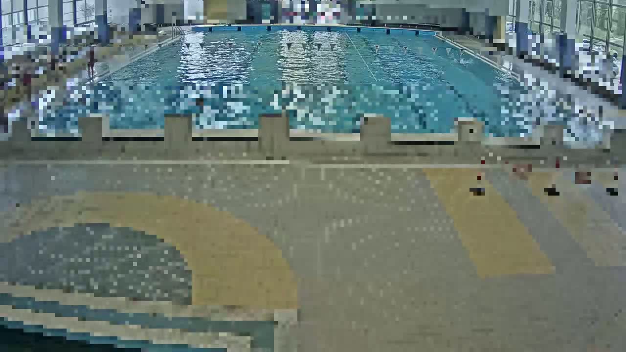 An indoor swimming pool with several people swimming laps.