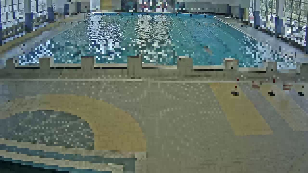 An indoor swimming pool with several people swimming laps.