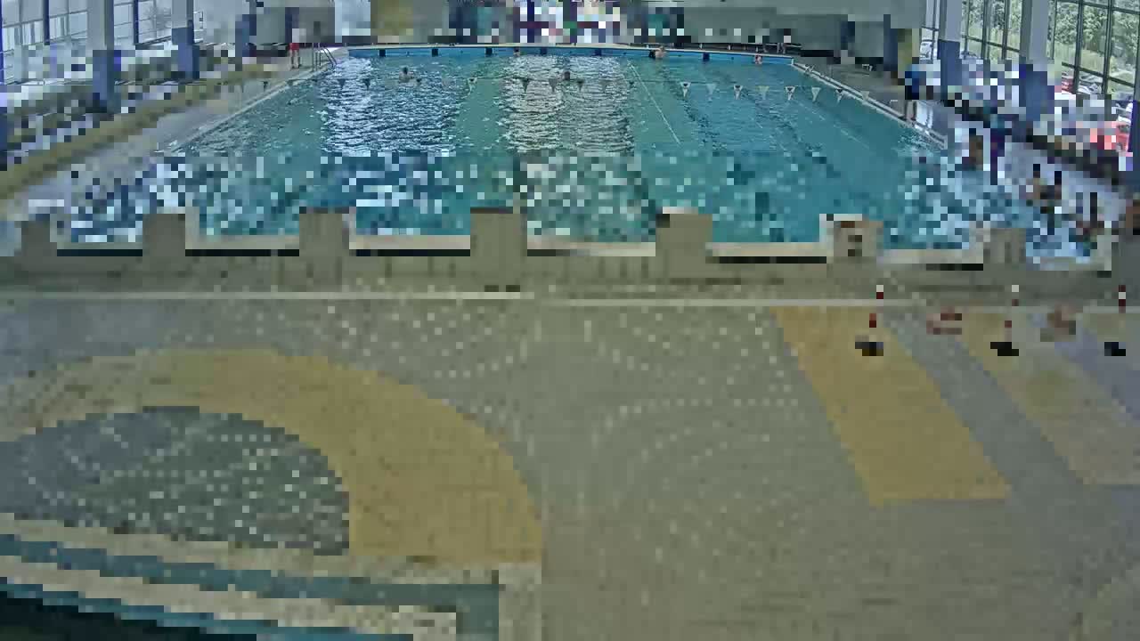 An indoor swimming pool with several people swimming and lounging around the pool deck.