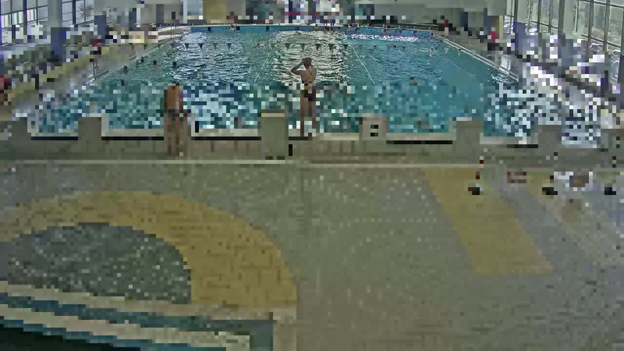 An indoor swimming pool with several people swimming and standing around the pool deck.