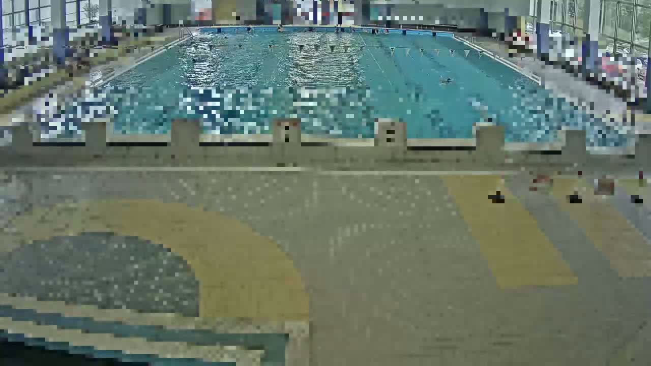 An indoor swimming pool with several people swimming laps and others relaxing poolside.