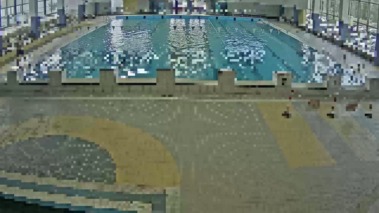 An indoor swimming pool with several people swimming in the lanes.