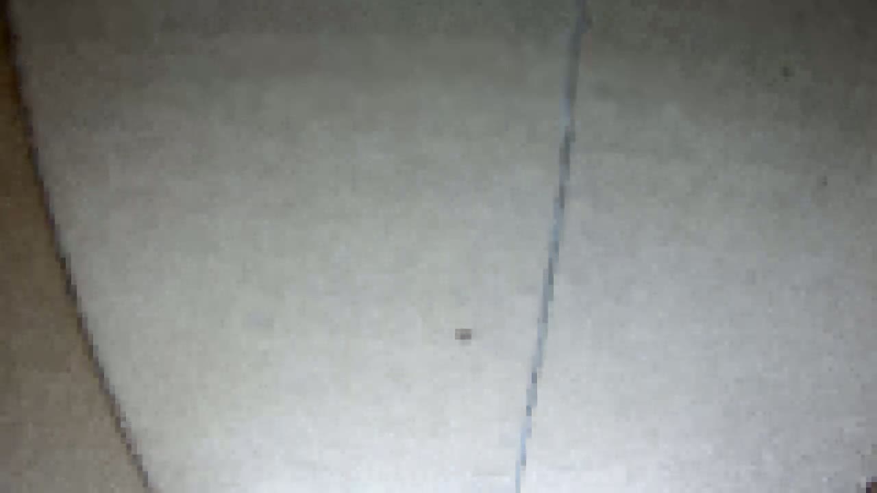 A close-up shows a light beige carpet with a thin, light blue line running vertically down the center.
