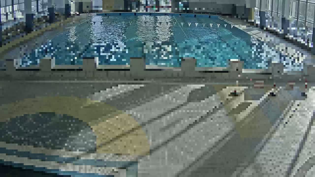 An indoor swimming pool with a large body of water, surrounded by gray concrete, and adjacent to a light beige area.