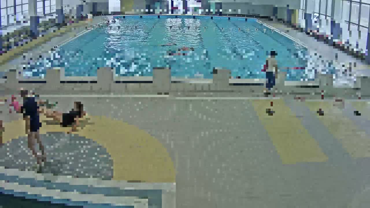 An indoor swimming pool is depicted with several individuals swimming in the lanes and others on the poolside deck, including one person on the ground performing an exercise.
