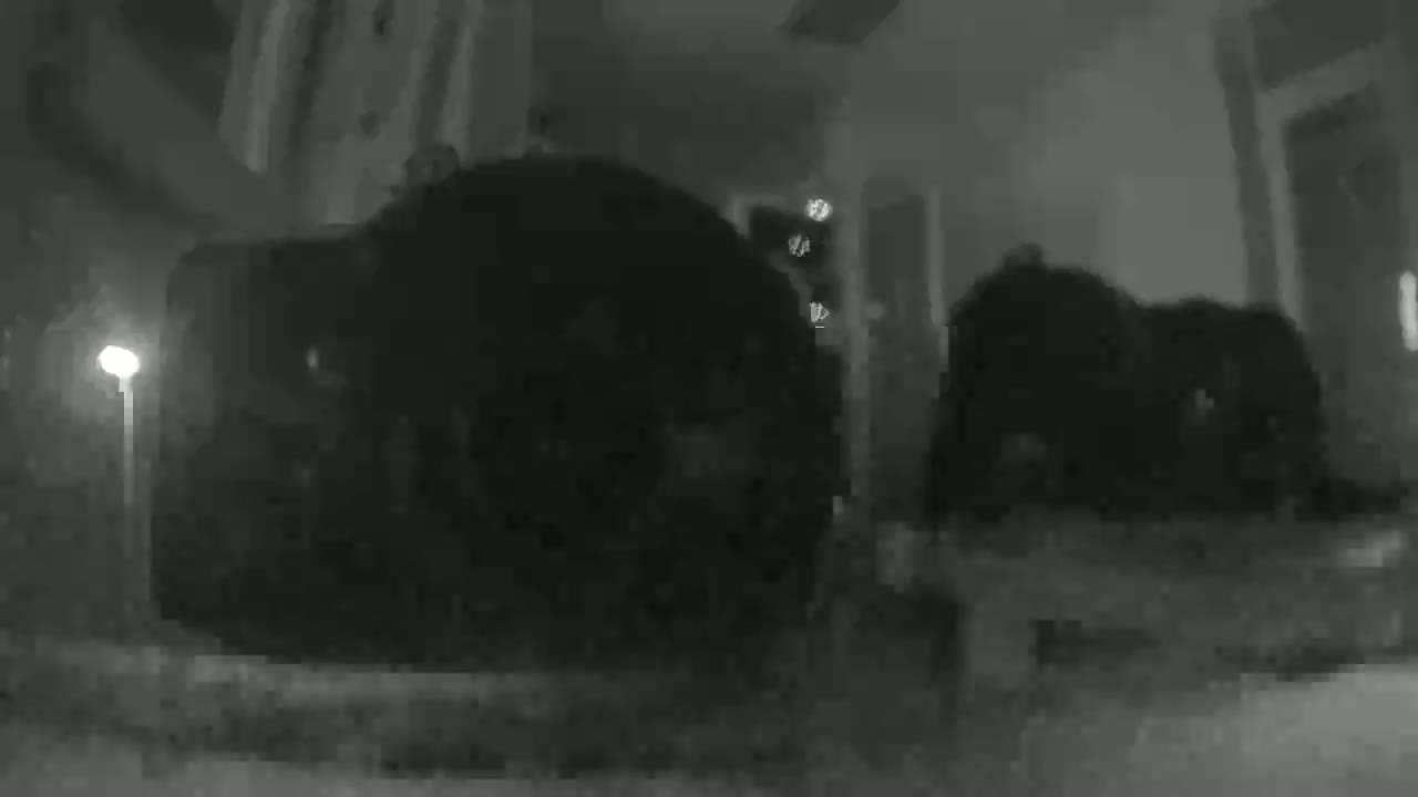A nighttime, low-light image shows two dark, indistinct shapes near a dimly lit area outdoors.