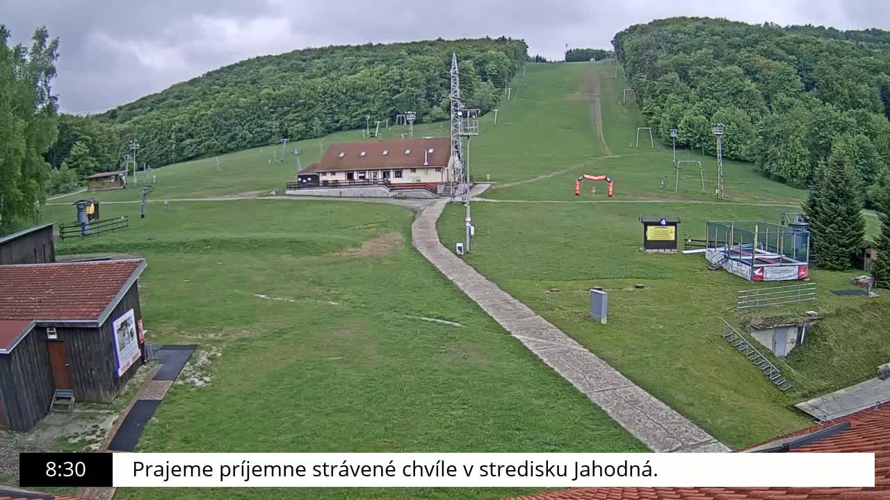 A grassy ski slope with a building, lift towers, and other recreational structures is visible under an overcast sky.
