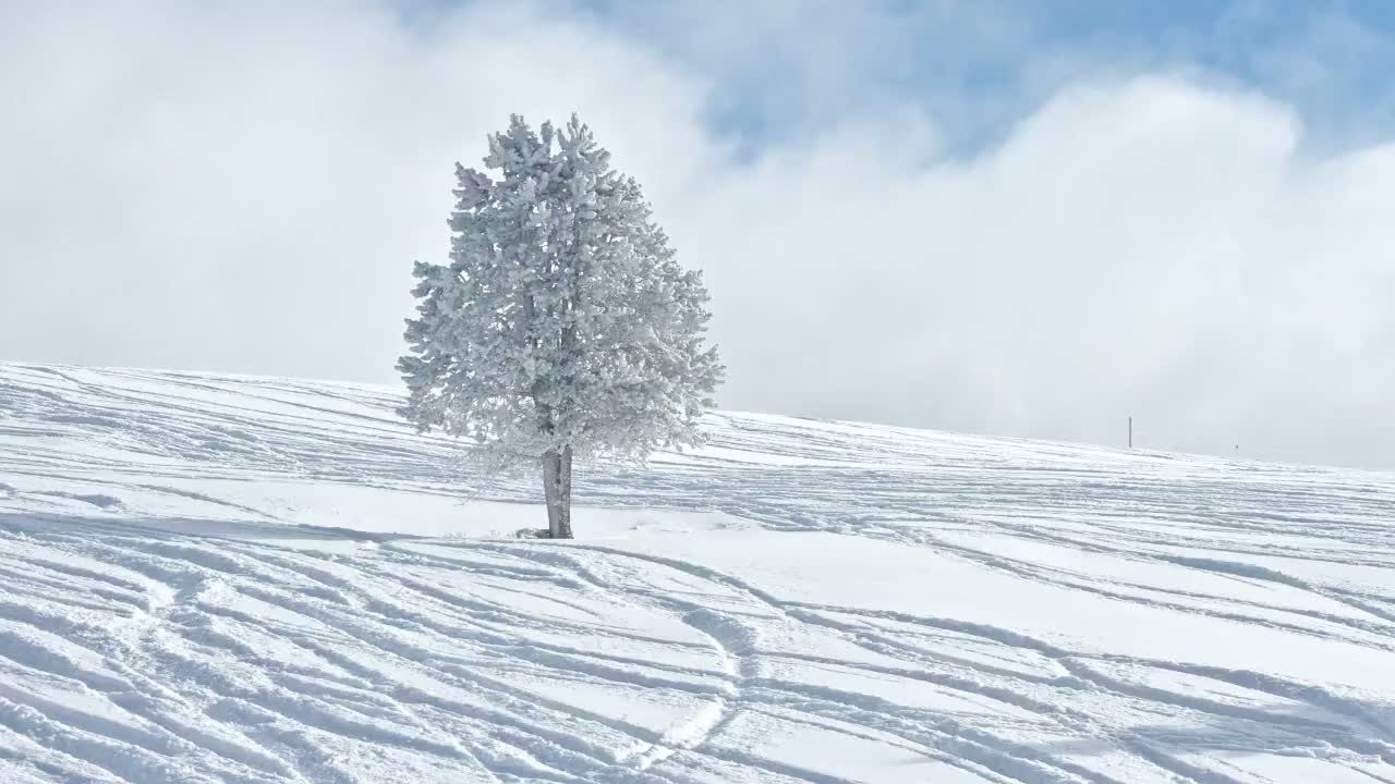 Jahodna Ski Slope West View Live Cam - Sever, Kosice 1, Kosice, Slovakia
