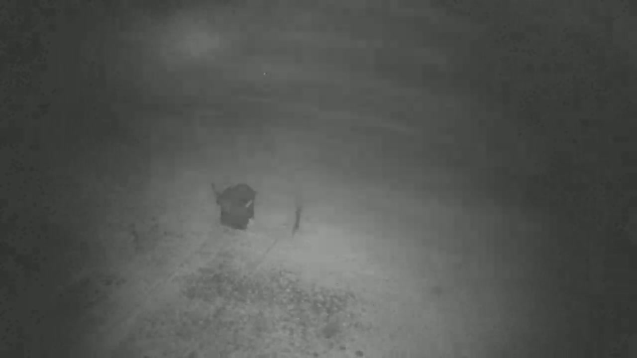 A dark, blurry image shows an object, possibly a dark-colored container, on a rough, gray surface at night.