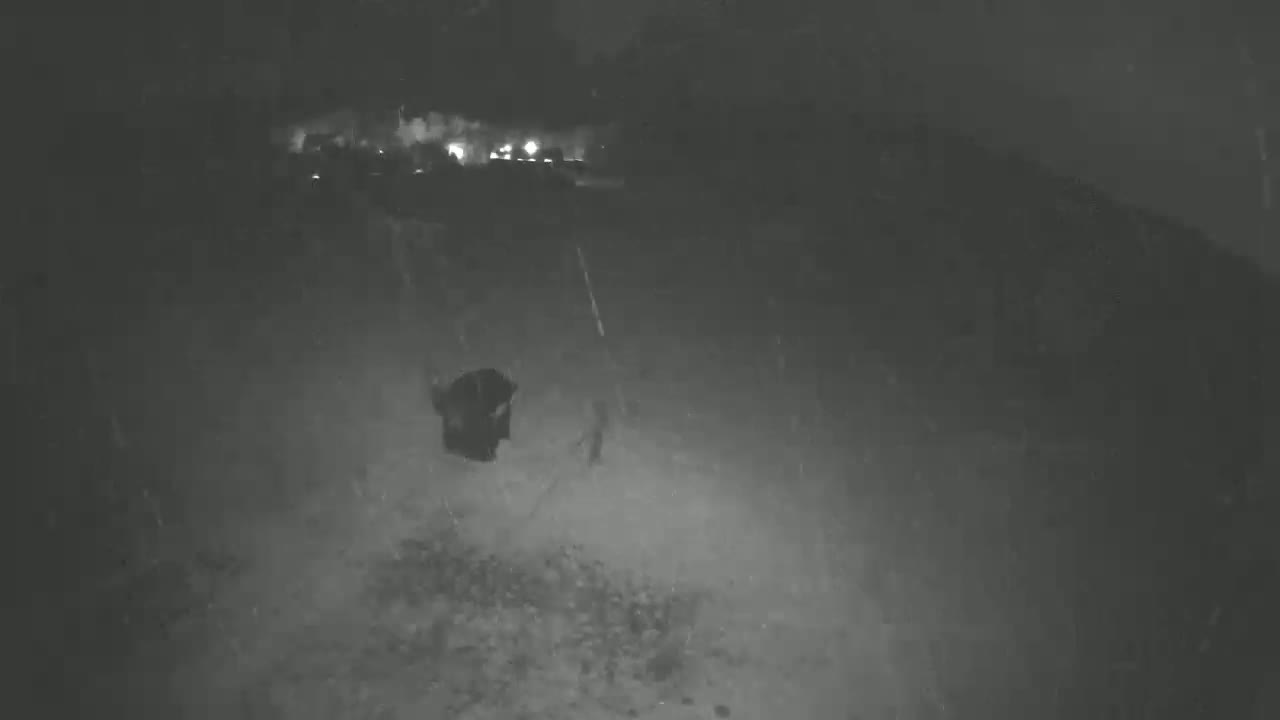 A dark, blurry image shows a small, dark object on the ground in the rain at night, with dim lights visible in the distance.