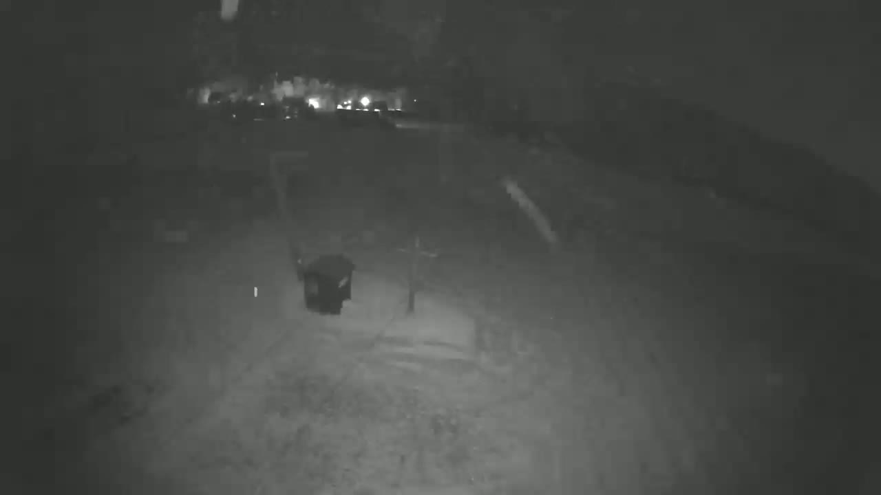 A nighttime, low-light image shows a dark object near a tree in a snowy yard.