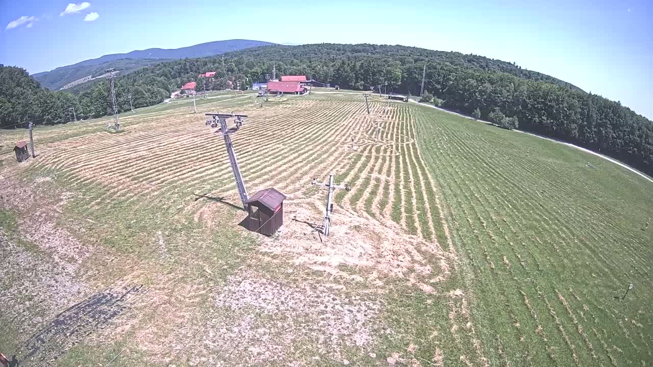 A mowed grassy field with ski lift infrastructure is visible under a clear, sunny sky, surrounded by a forested hillside.