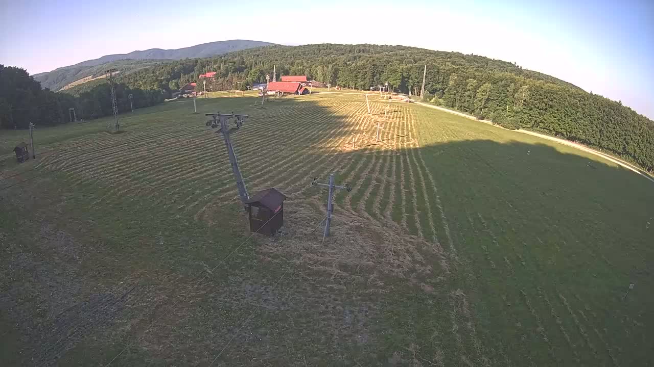 A grassy field with rows of cut hay, two utility poles, and a small shed is situated below a forested hillside on a clear, sunny day.