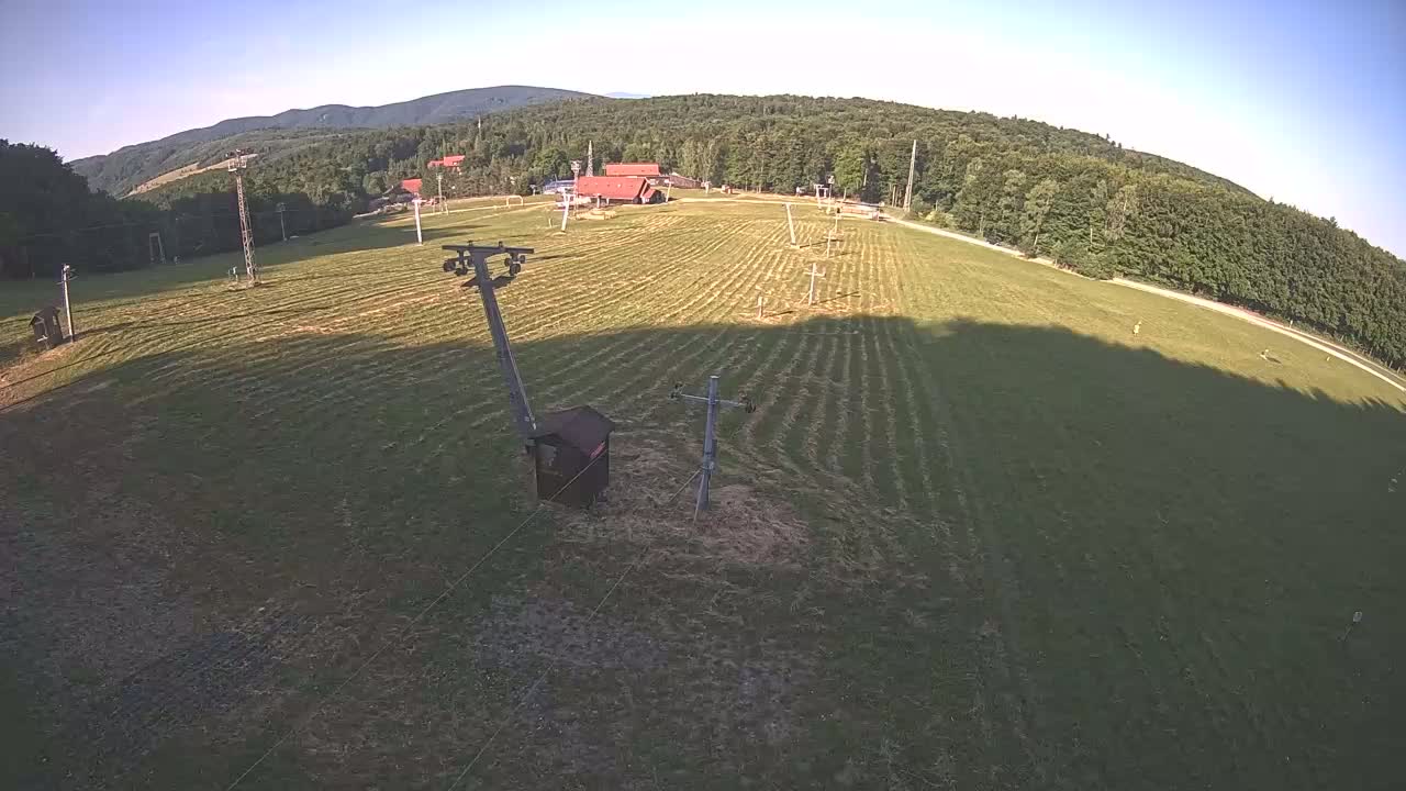 A grassy field with several ski lift poles and a small building sits beneath a clear sky and surrounded by a forest on a sunny day.