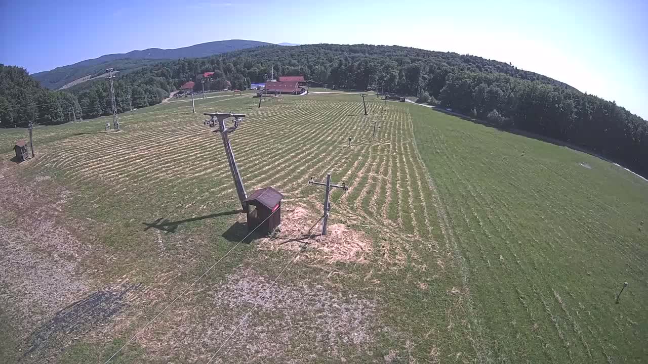 An aerial view shows a grassy field with parallel lines, two utility poles, a small shed, and a forested hillside in the background under a clear, sunny sky.