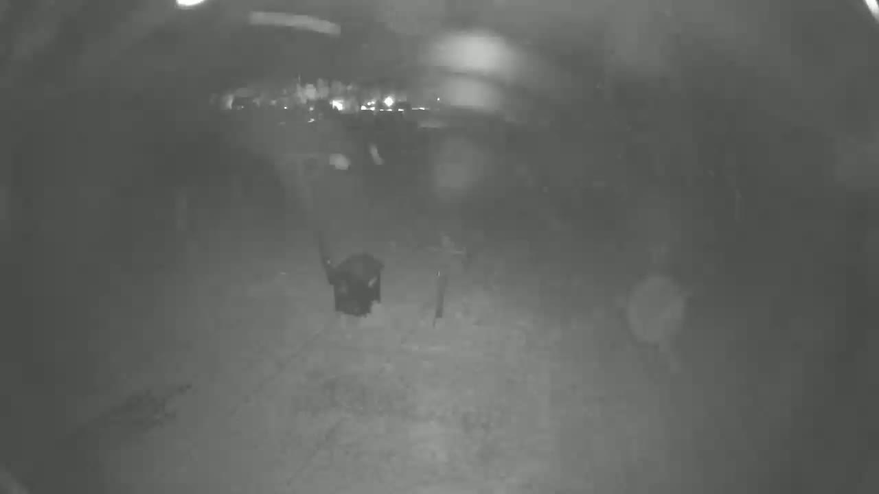 Jahodna Ski Slope East View Live Cam - Sever, Kosice 1, Kosice, Slovakia