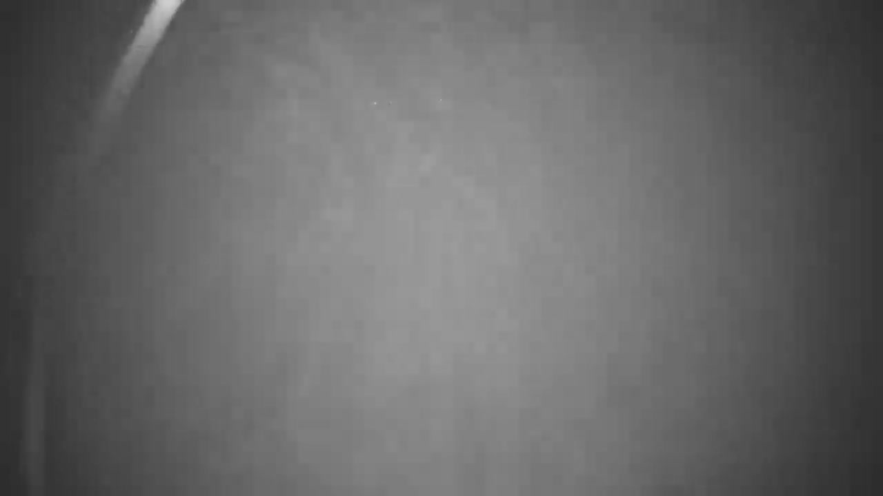 A dark, hazy grayscale scene, likely outdoors in dense fog or mist at night, features a bright light source curving in from the upper left and several faint, distant lights.