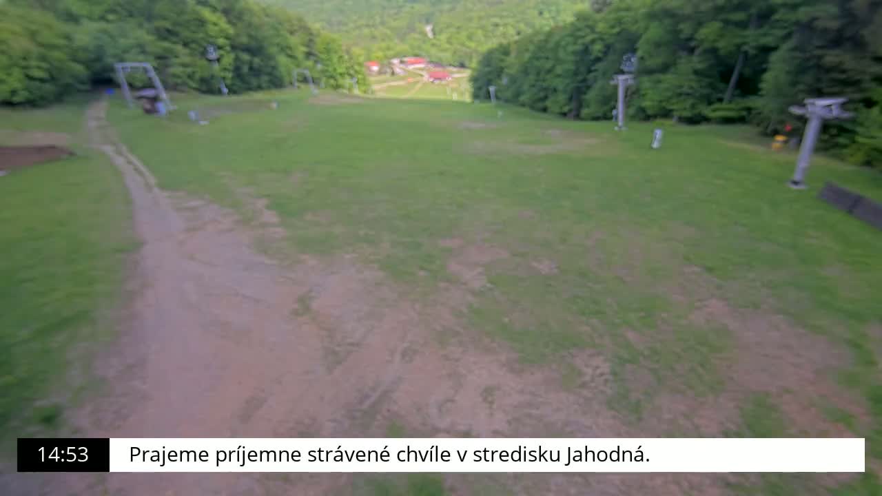 A grassy hillside with a dirt path and empty ski lift supports is visible, surrounded by lush green trees.
