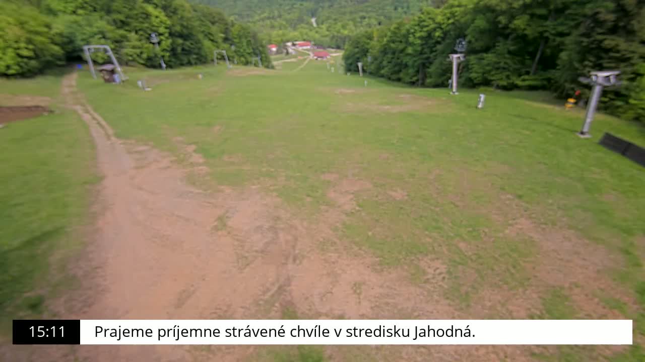 A grassy ski slope with a dirt path and chairlift supports is visible, surrounded by a lush green forest on a sunny day.