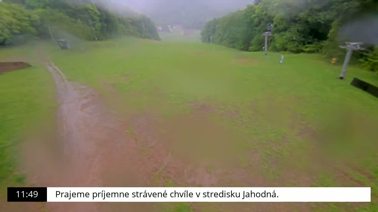 A rain-soaked grassy area with a muddy path, surrounded by trees and ski lifts in the background.