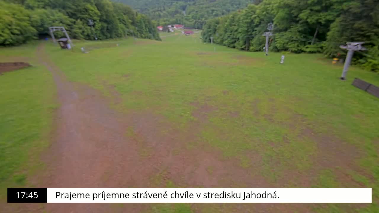 A grassy hillside, possibly a ski slope in the summer, with a dirt path and the remnants of ski lifts visible, under overcast skies.