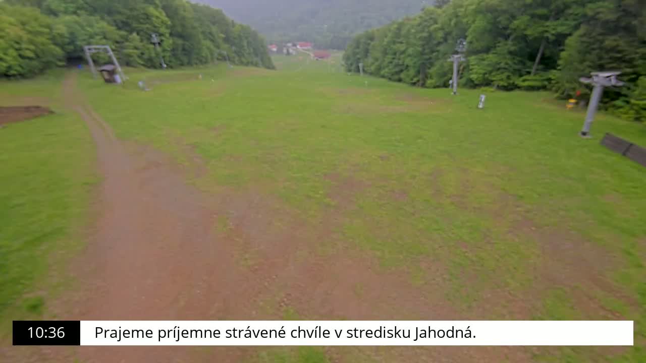 A grassy ski slope, possibly during or after rain, with lift structures and a dirt path leading to some buildings in the distance.
