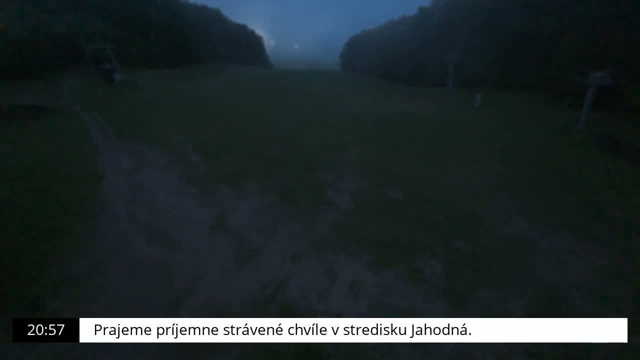 A dark, blurry view of a grassy field at night, illuminated by a dim light source.