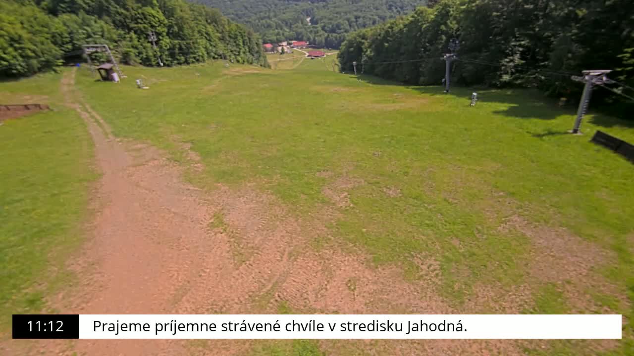 A grassy ski slope with a dirt path and ski lift infrastructure is visible, overlooking a forested area on a sunny day.