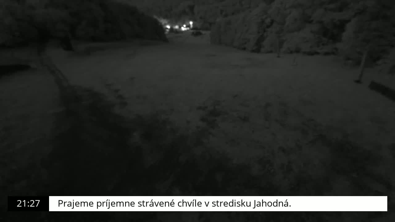 A snow-covered ground is visible at night, with dark trees and blurry lights in the distance.