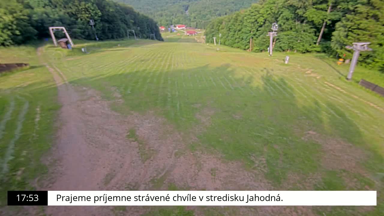 A grassy ski slope is visible, mostly bare with some patches of dirt, surrounded by a forest under a sunny sky.