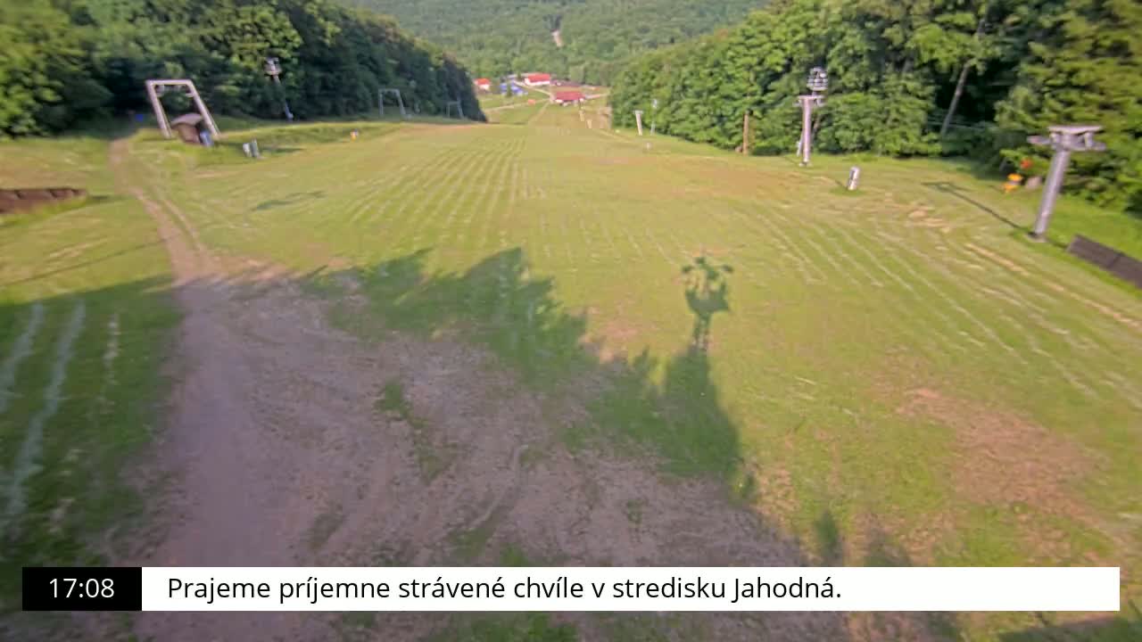 A grassy ski slope, with two ski lifts visible, is seen on a sunny day in a forested area.