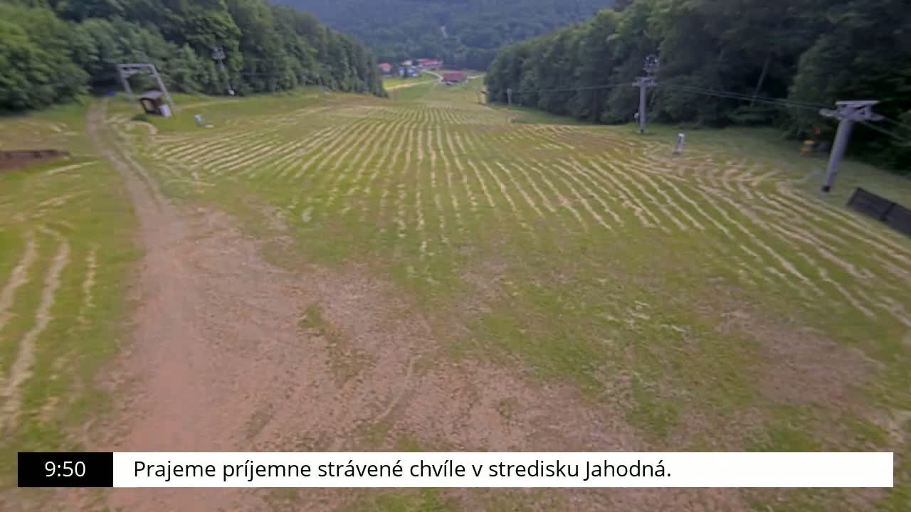 A grassy hill with parallel lines cut into it, surrounded by trees, under a seemingly clear sky.