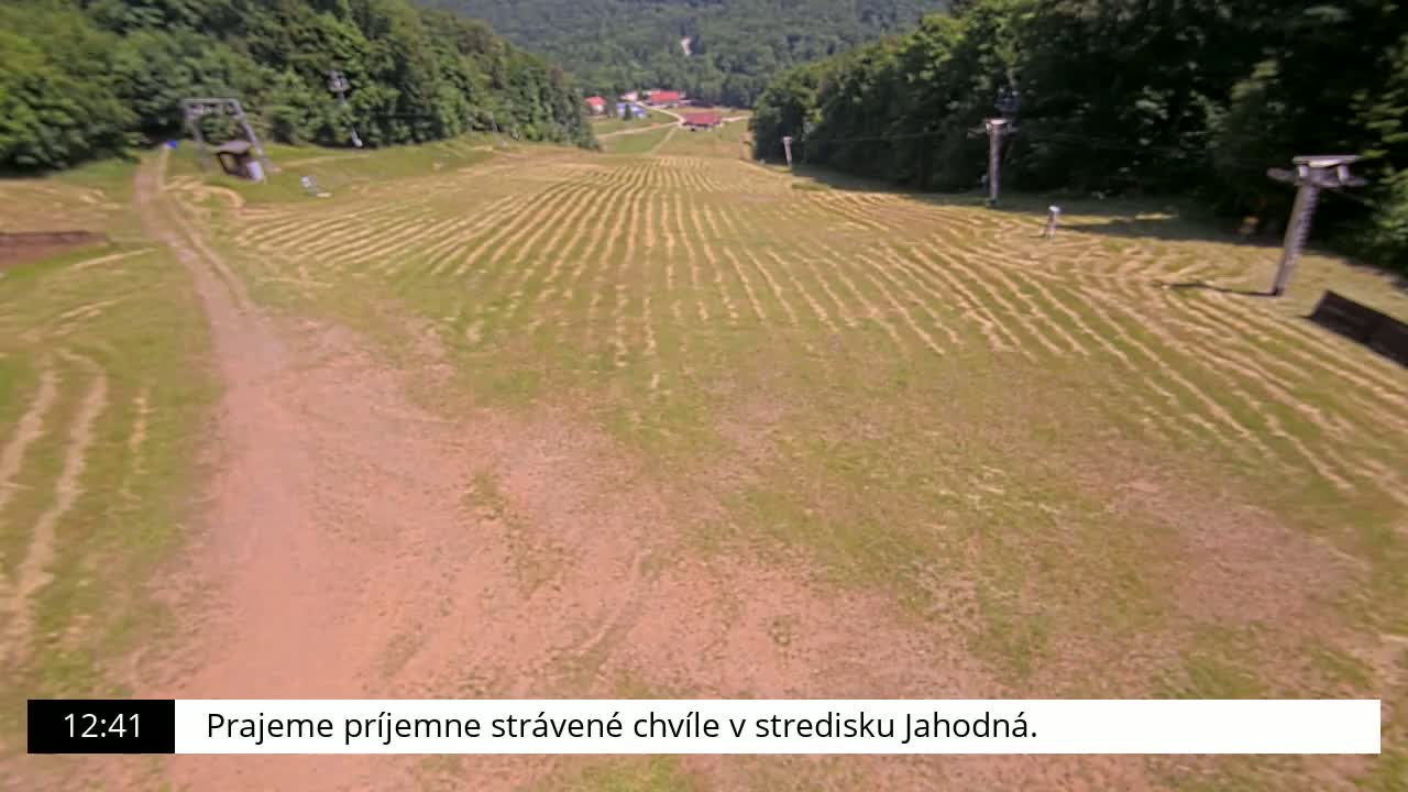 A grassy ski slope with a dirt path shows parallel lines in the grass, under a sunny sky, with forested hills in the background.