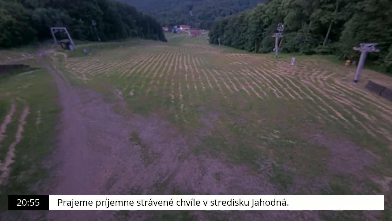 A grassy ski slope with parallel grooves shows signs of wear, under a twilight sky, surrounded by a dark green forest.