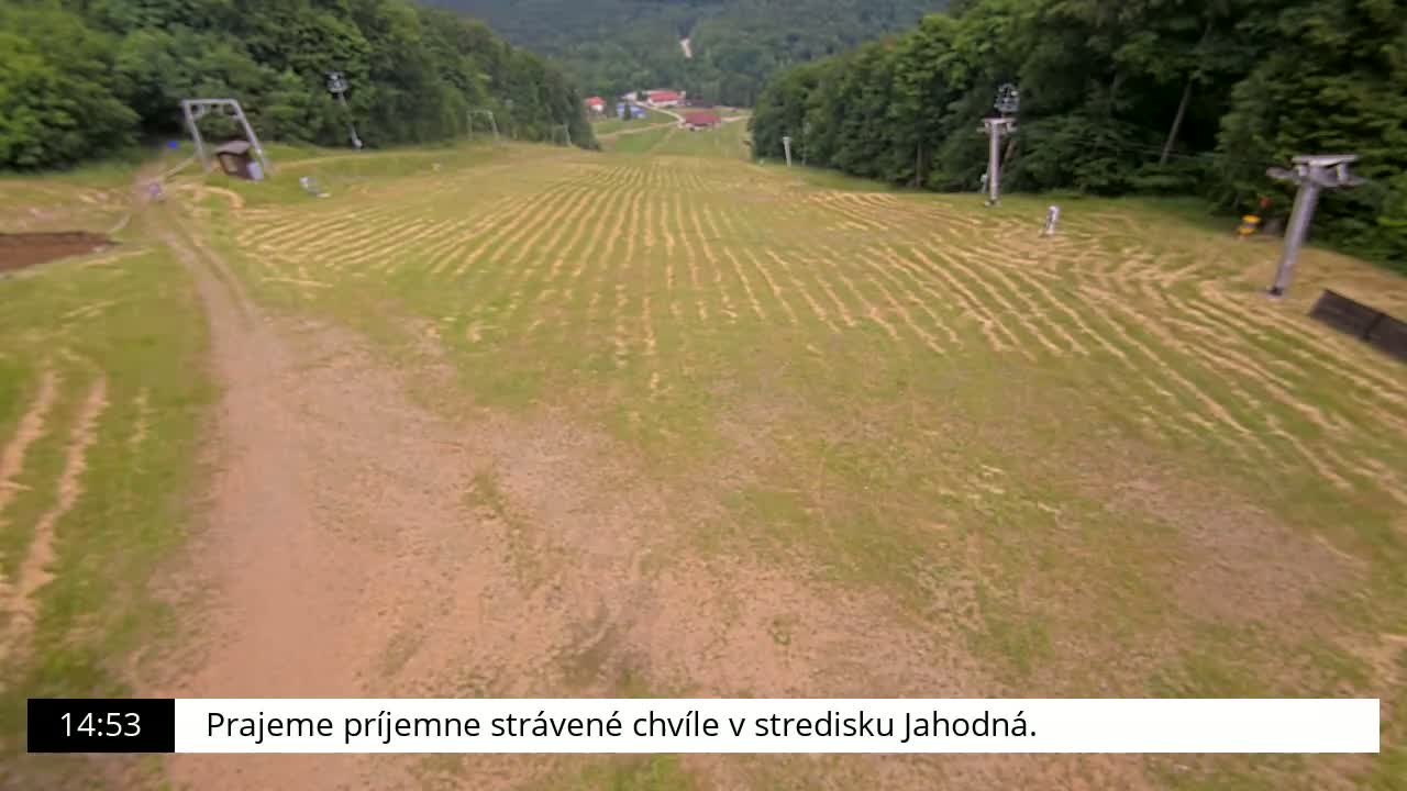 A grassy ski slope with tire tracks, ski lifts, and a dirt path is visible, surrounded by a forest on a sunny day.