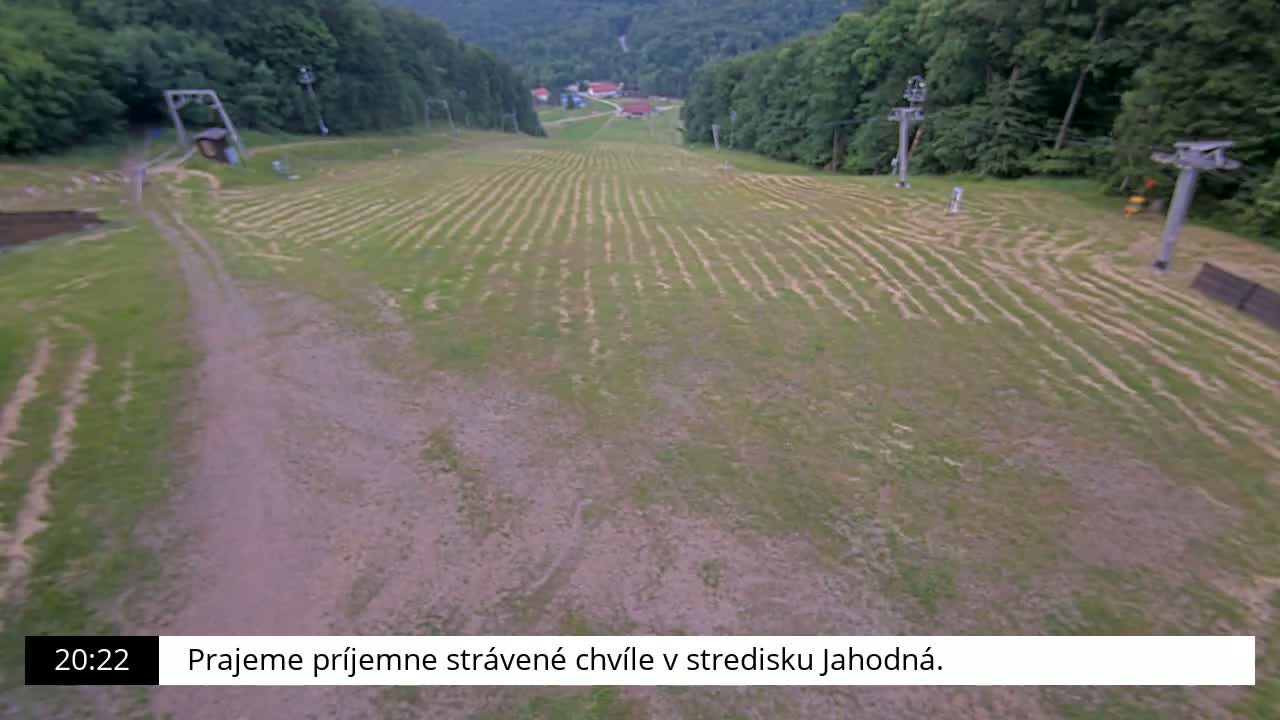 A grassy ski slope with tire tracks and ski lifts is visible, surrounded by a forest on a clear day.