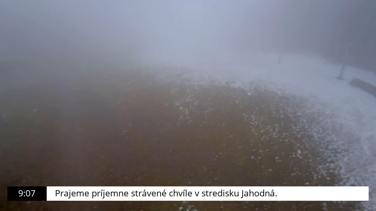 The image reveals an outdoor landscape with brown ground sparsely covered in white, likely light snow or frost, under very dense fog conditions that severely limit visibility.