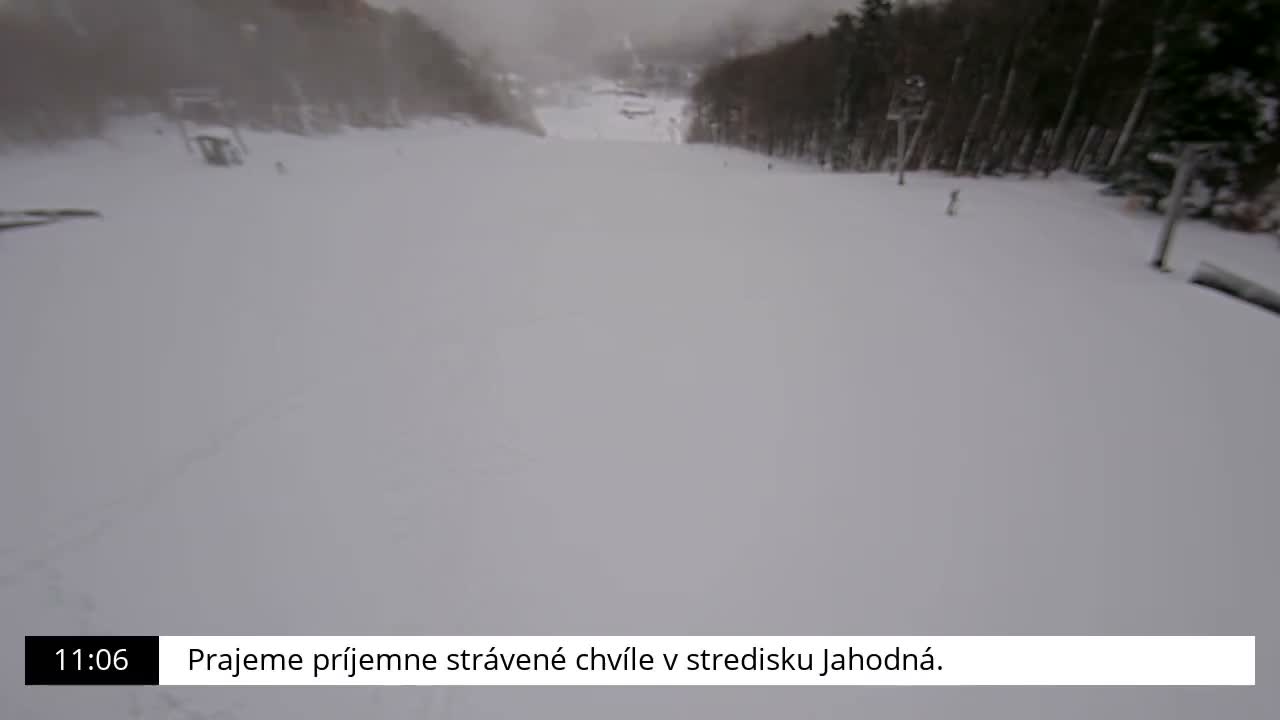 A wide, snow-covered ski slope stretches into the distance between rows of trees under a cloudy and hazy sky, with faint ski tracks visible on the snow and indistinct structures in the background.
